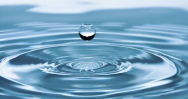 agua