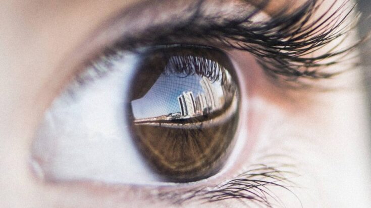 VISION