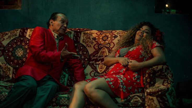 llauca serie peruana