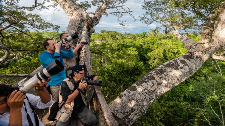 fotografiar la naturaleza
