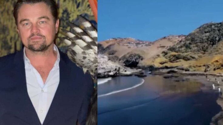 Leonardo Dicaprio