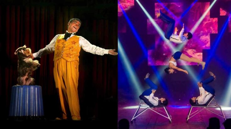 circo de pitillo