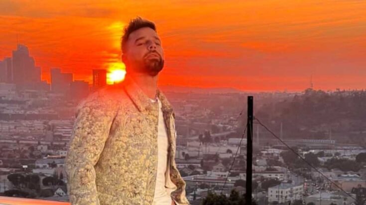 Ricky Martin