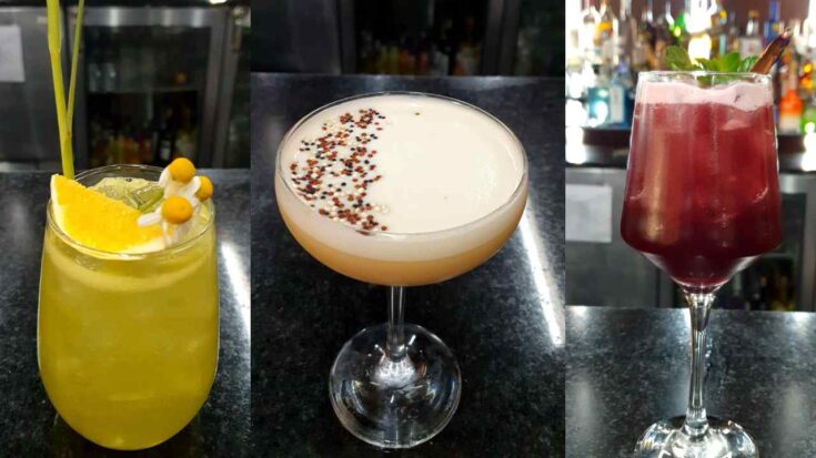 Recetas de cocteles a base de pisco