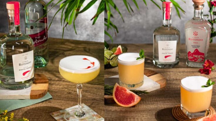 Pisco Sour