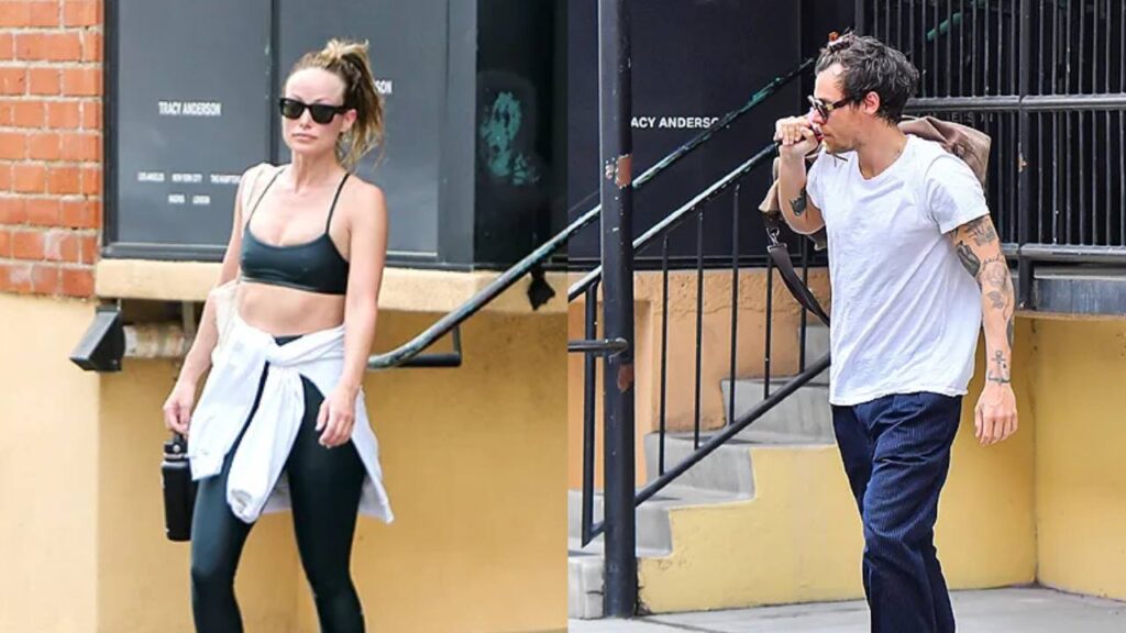 Harry Styles rechaz&oacute; el papel de Erick en 'La Sirenita'.