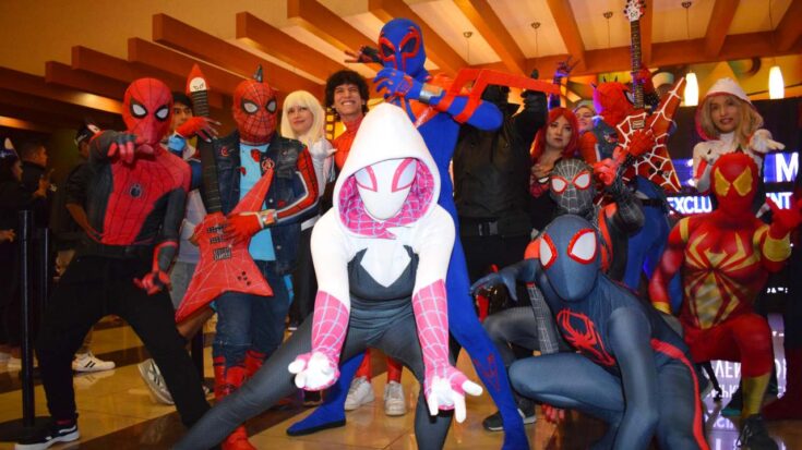 Spider-verso