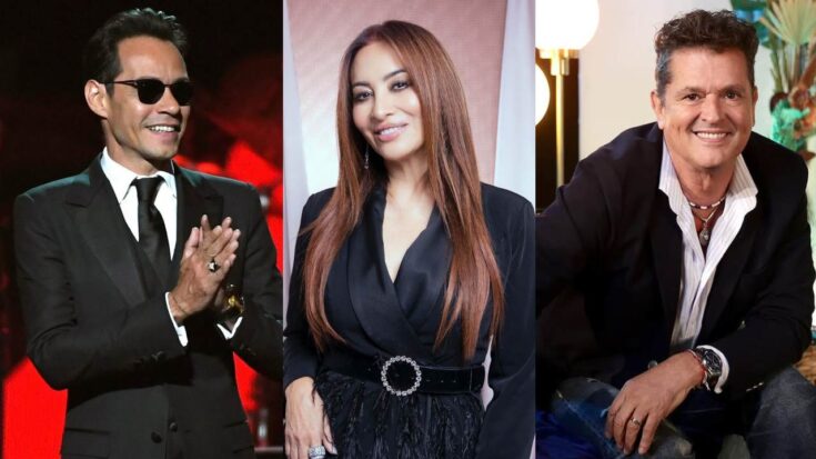 Artistas en Viña del Mar 2025