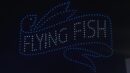 flying fish