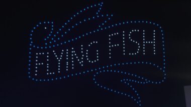 flying fish