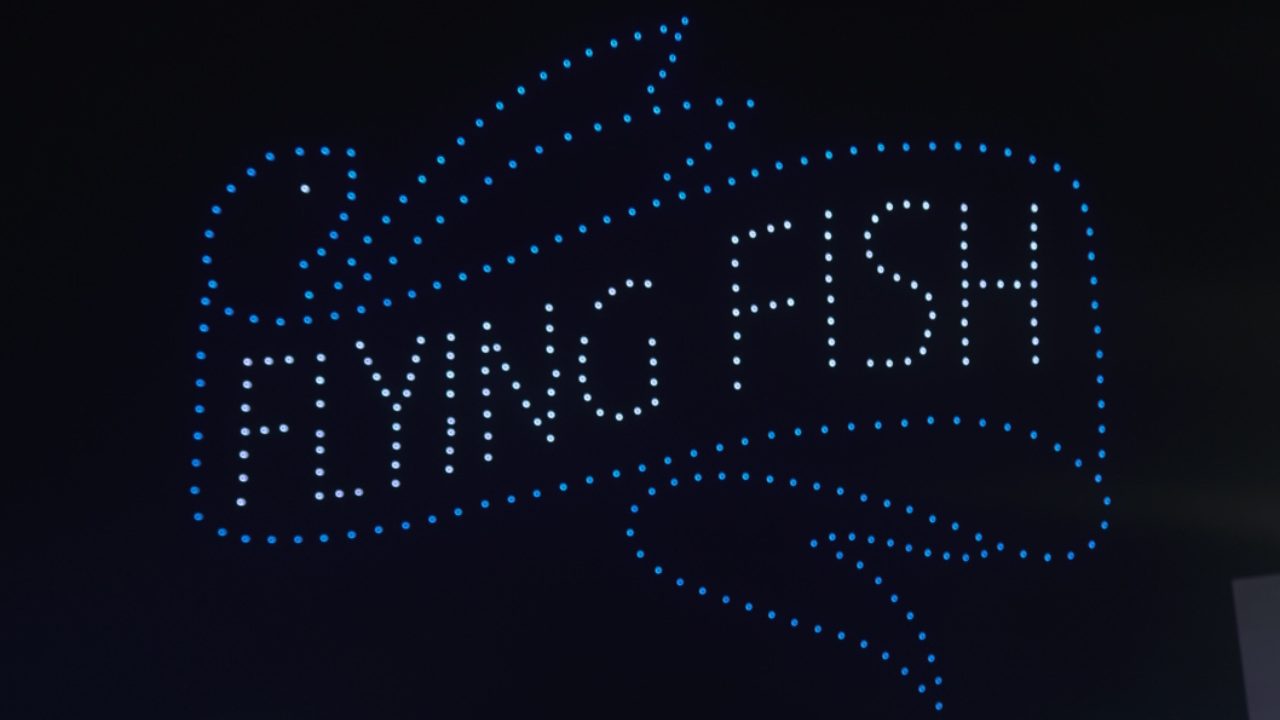 flying fish