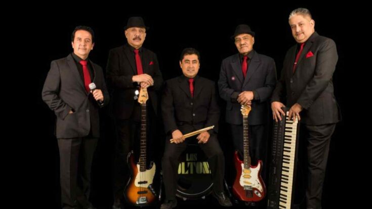 Los doltons en concierto