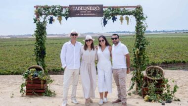 Vendimia de Tarbernero